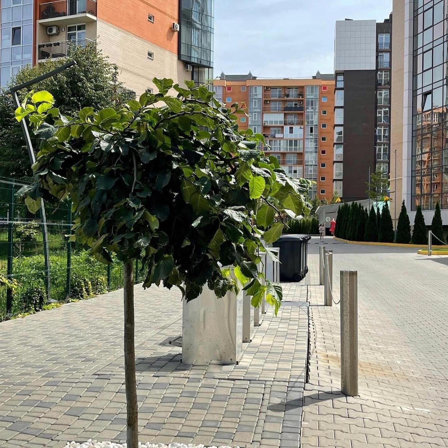 Vodogray Luxury Apartments With Underground Parking Елітний Житловий Комплекс Czernowitz Exterior foto
