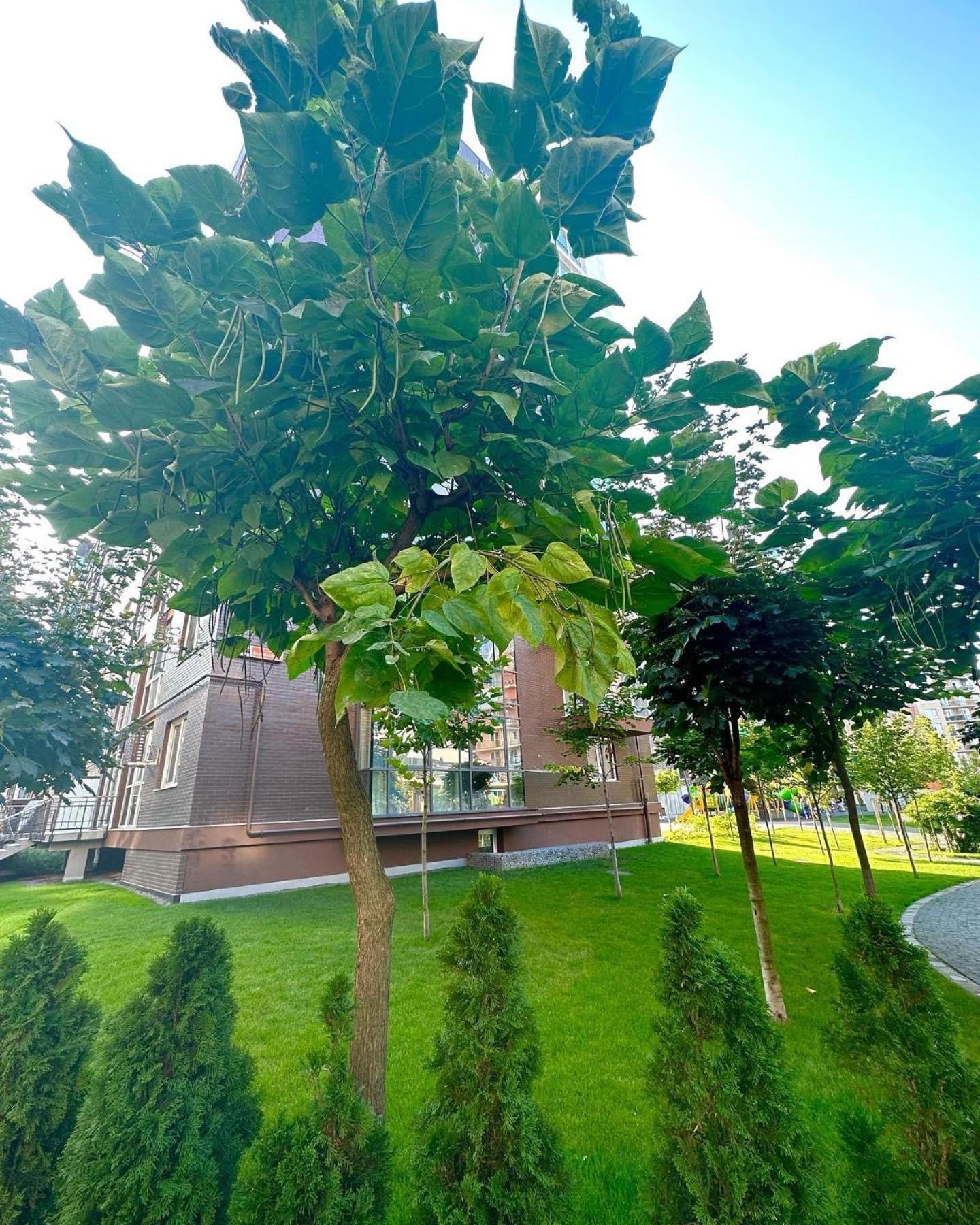 Vodogray Luxury Apartments With Underground Parking Елітний Житловий Комплекс Czernowitz Exterior foto